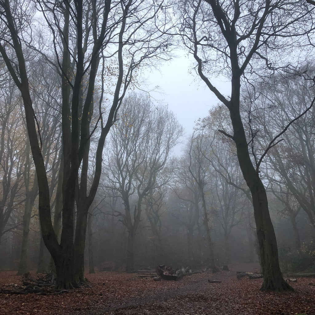 Hirst wood in the fog