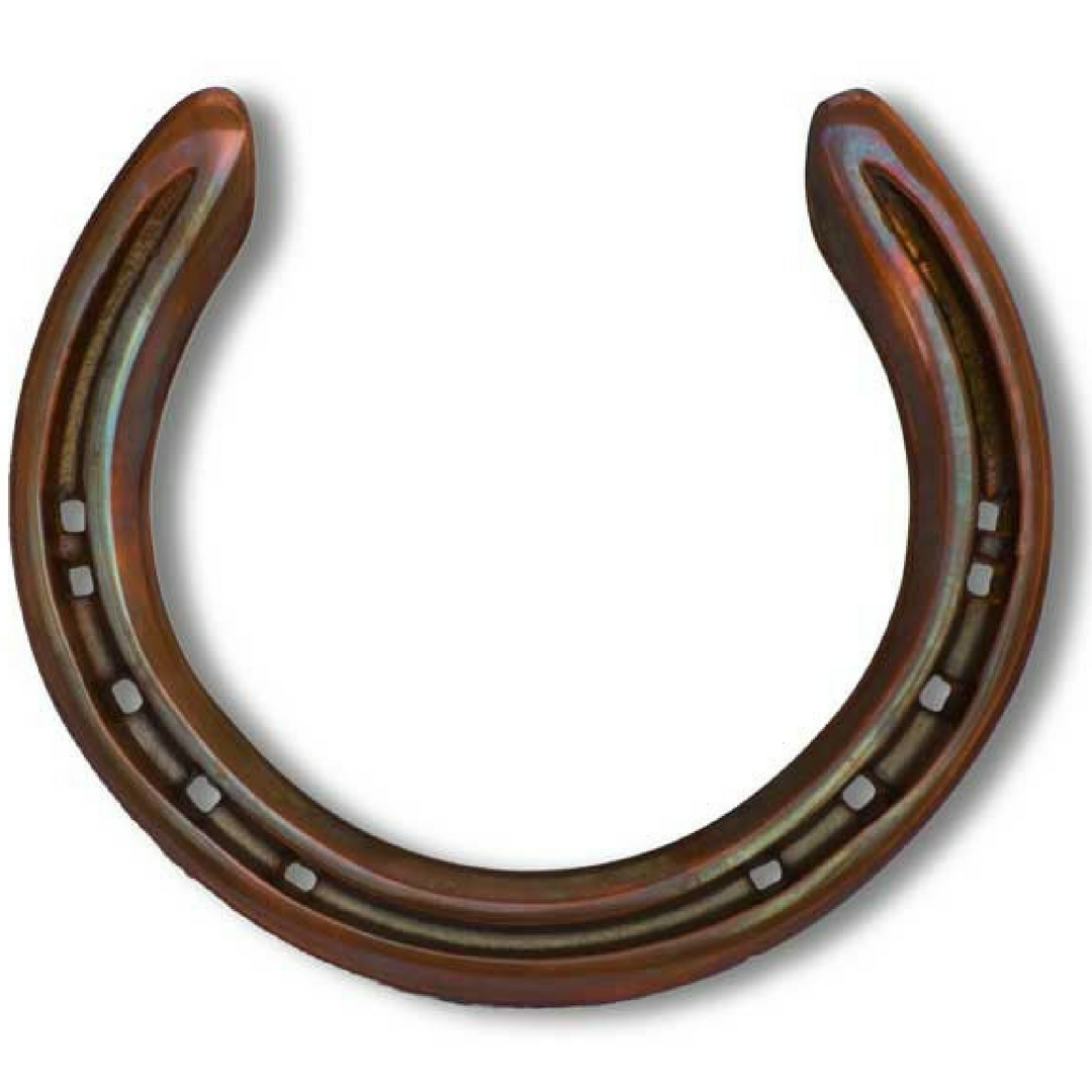 engraved iron horseshoe