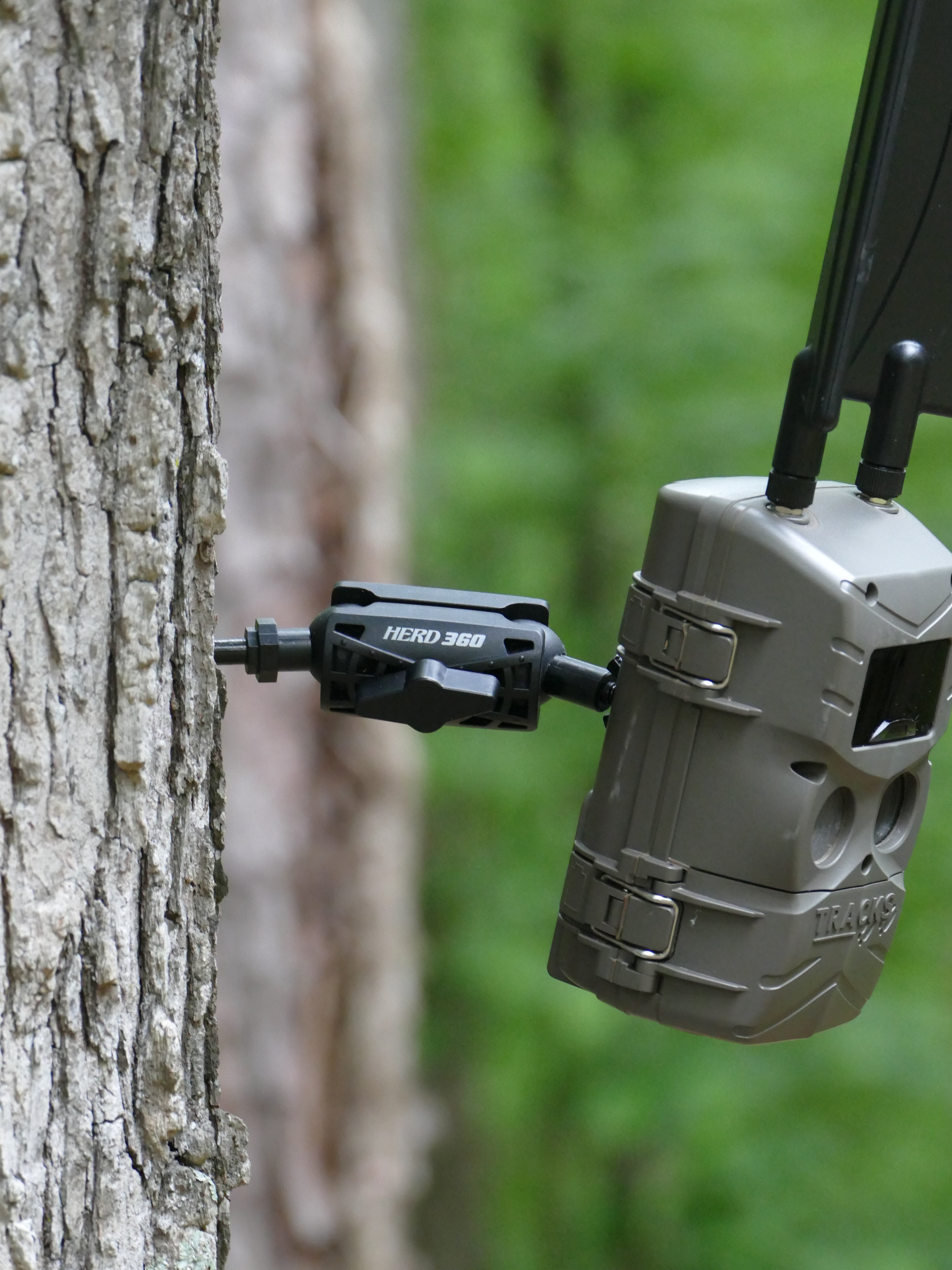WiseEye Mini Cam Cellular Trail Camera Build your Bundle and Save