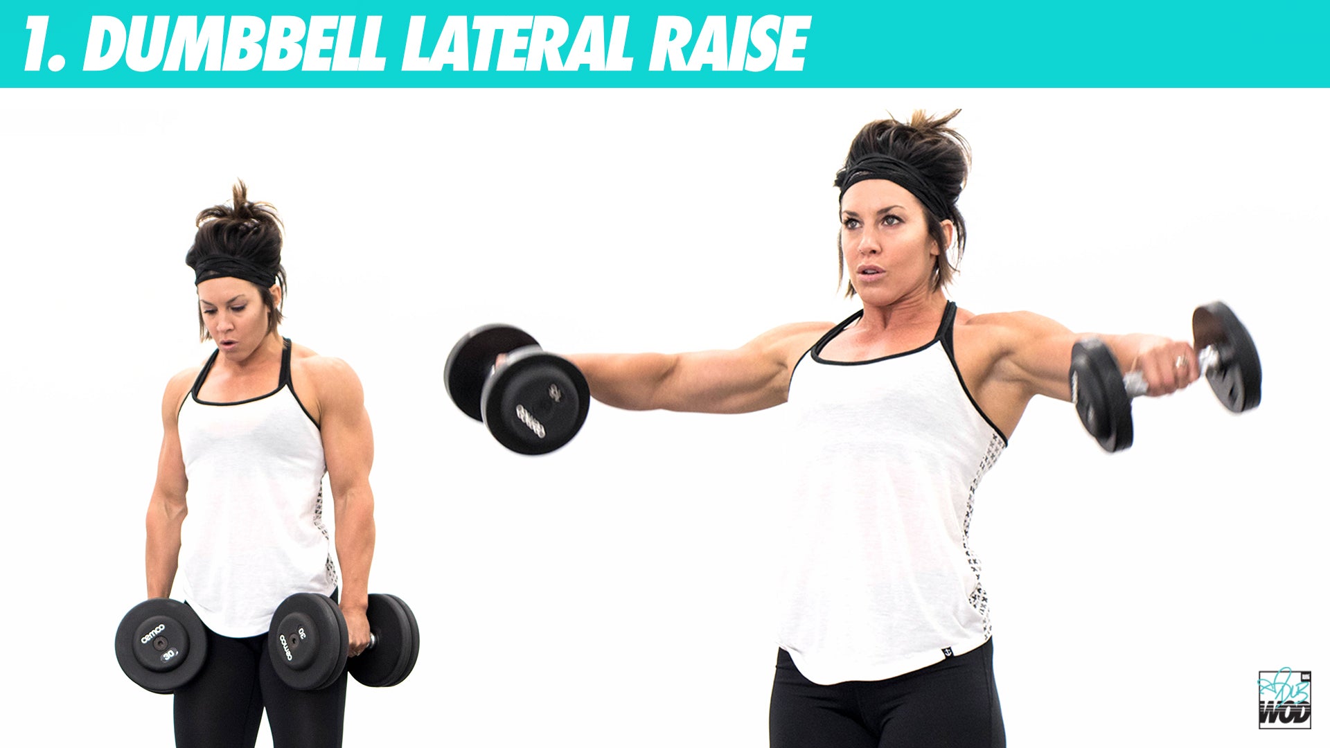 30 Minute Dlb Daily Workout Review for Women