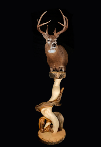 single head whitetail juniper pedestal