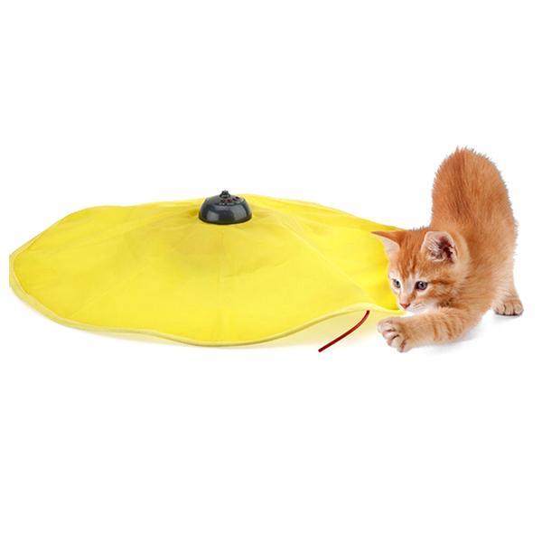 peekaboo cat toy