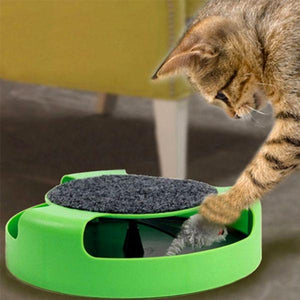 catch the mouse motion cat toy