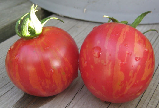 Buy Pink Berkeley Beefsteak Tomato Seeds Canada