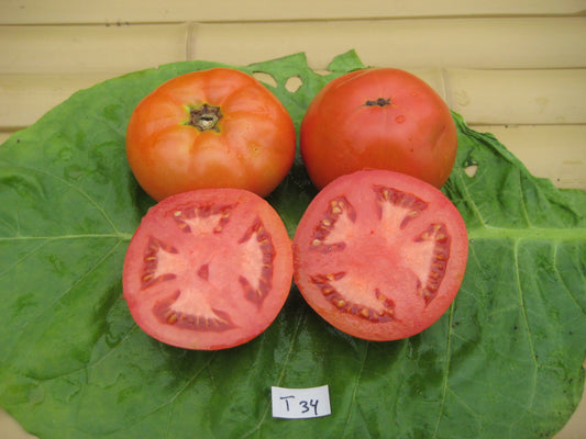 Brandywine Cherry Tomato- Organic – Greta's Family Gardens