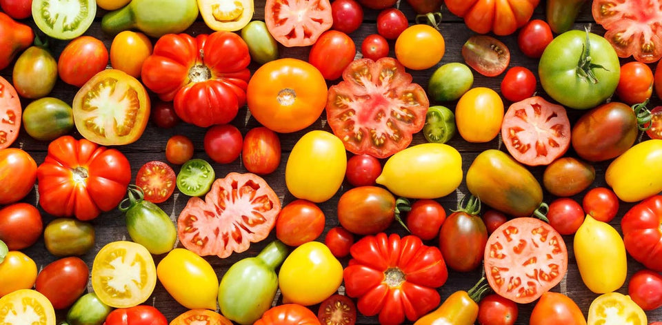 Brandywine Red Tomato- Organic – Greta's Family Gardens