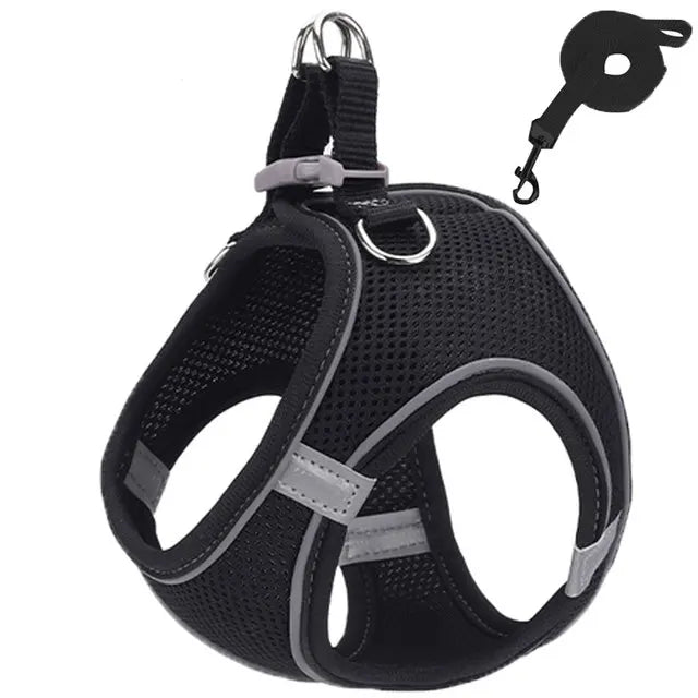 Peitoral de passeio para gatos e cachorros 4