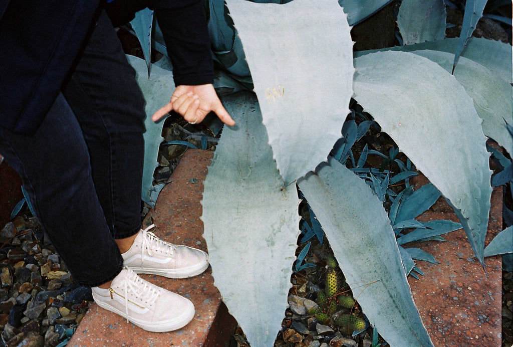 Sole Finess x Tokyosofly Vans Oldskool Whispering Pink