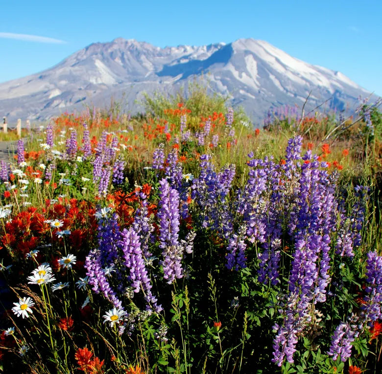 The Chatty Coconut Blog shares tropical travel outfits, packing tips, and coastal getaway fashion.