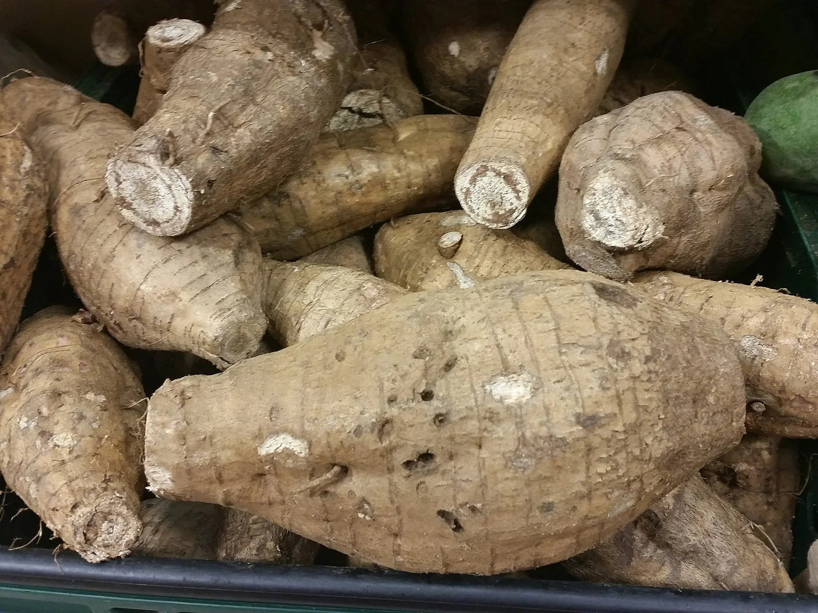 Корен от кудзу