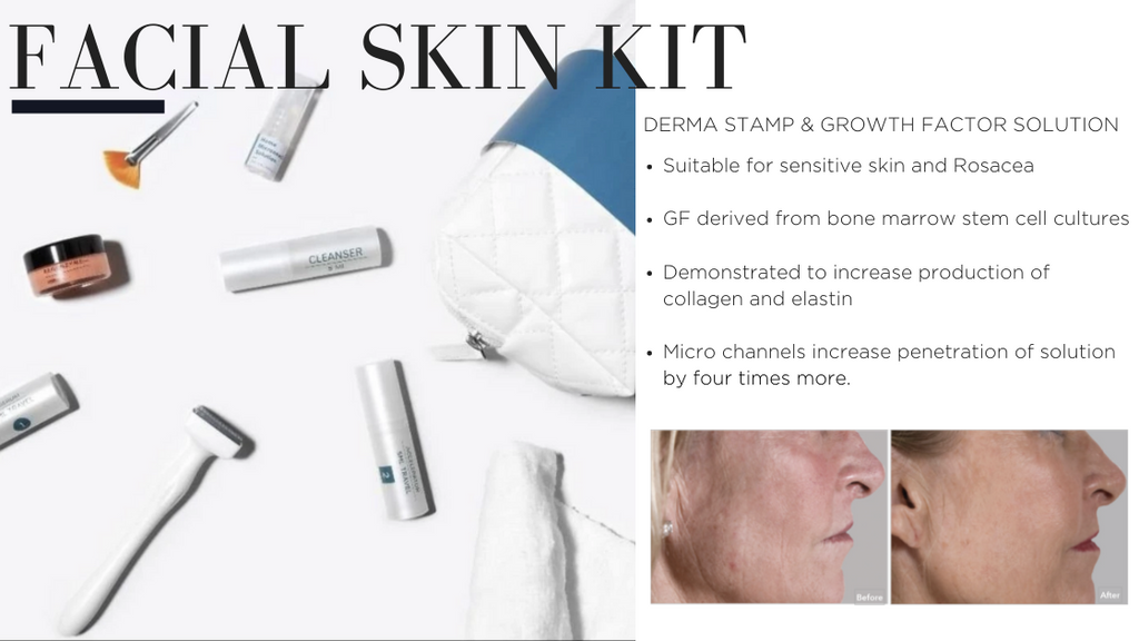 AnteAge Facial Skin Kit with Dermal Stamp