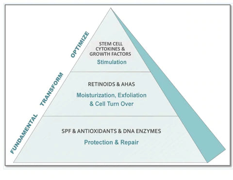 Pyramid showing foundation of skincare is spf and antioxidants, then retinods and AHAs then stem cells and cytokines