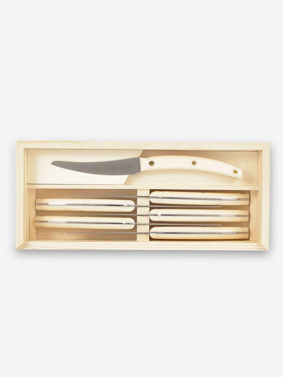 Rainbow Steak Knives - Set of 12 – MoMA Design Store