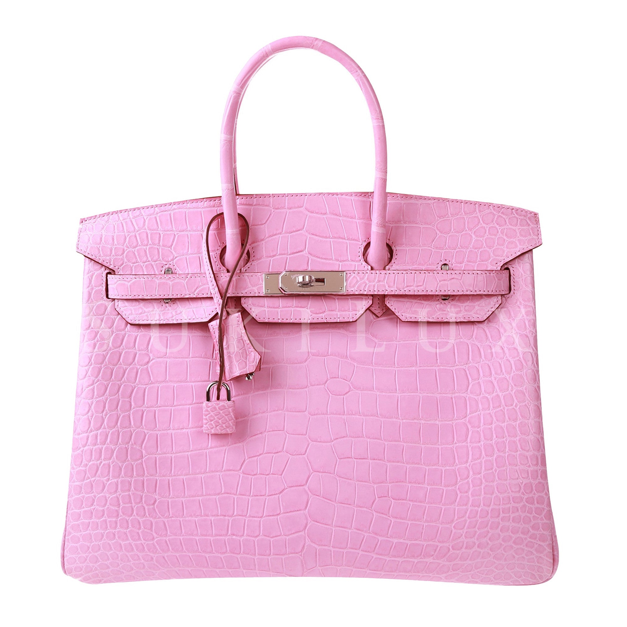 Birkin Bag Pink Crocodile | IUCN Water