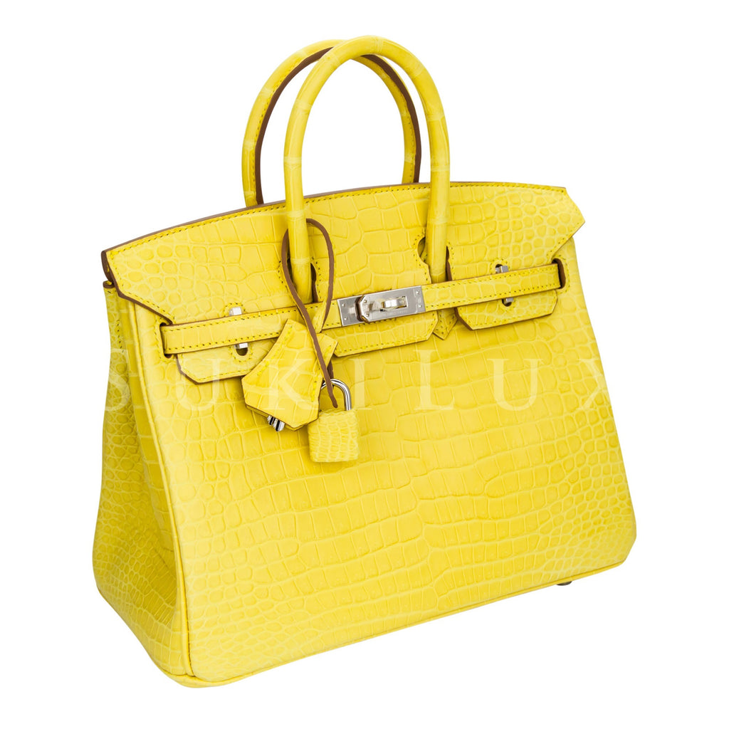 hermes mimosa birkin