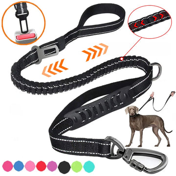 leashes product