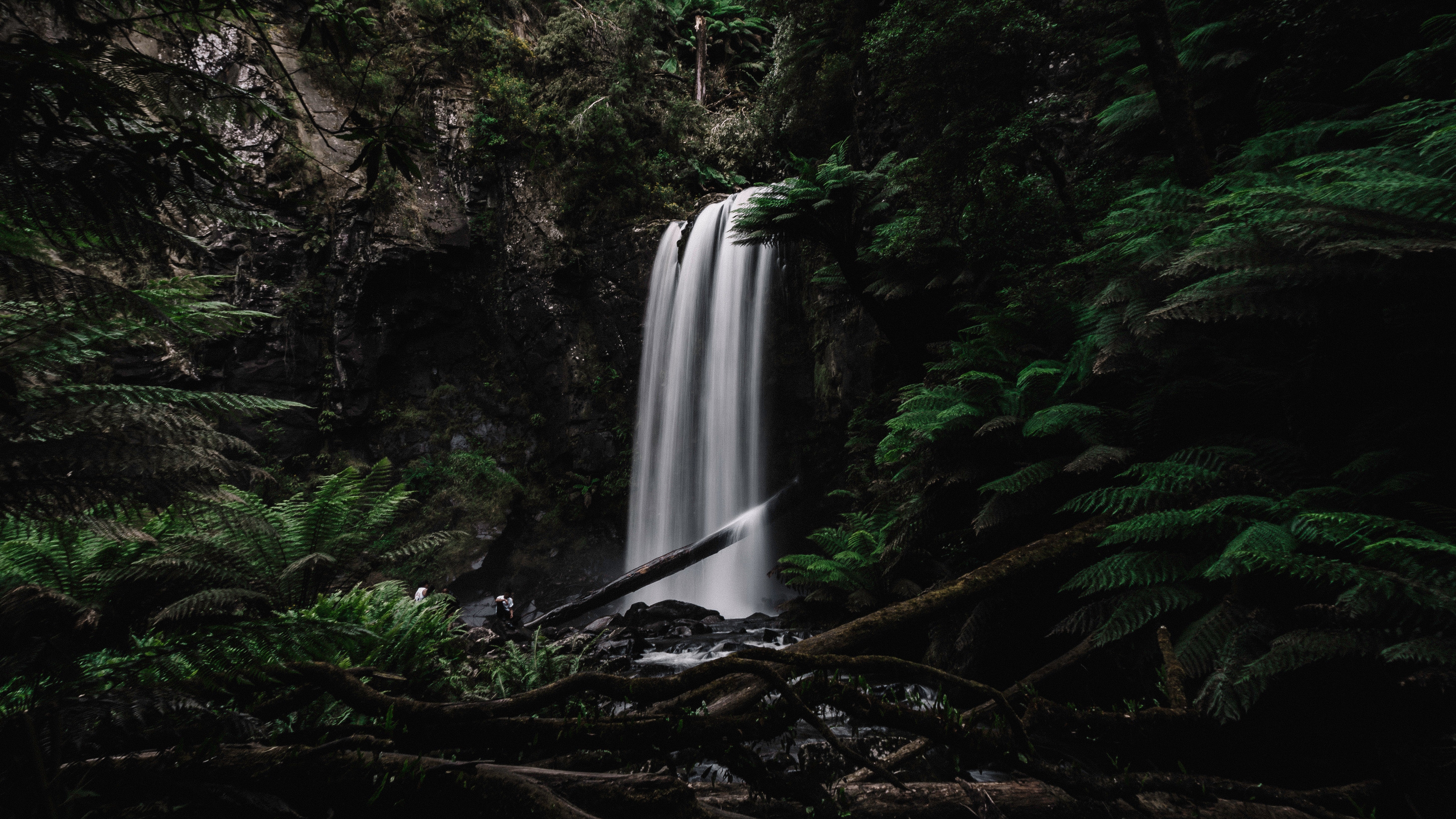 Hopetoun Falls Waterfall, Otways Region