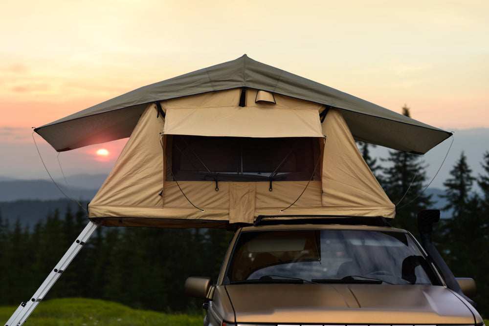 Rooftop tent and ladder set up on a car