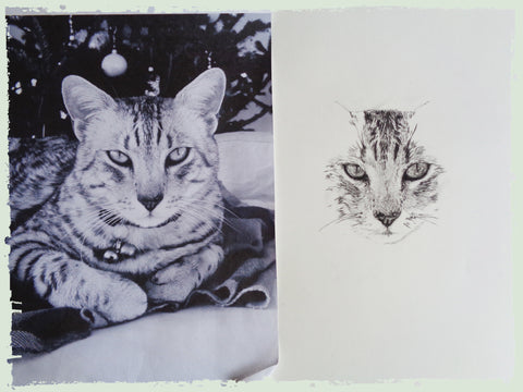 charcoal-portrait-egyptian-mau2