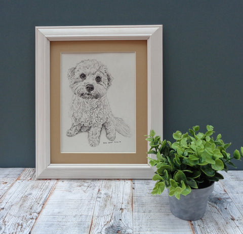 charcoal-portrait-cavachon-5