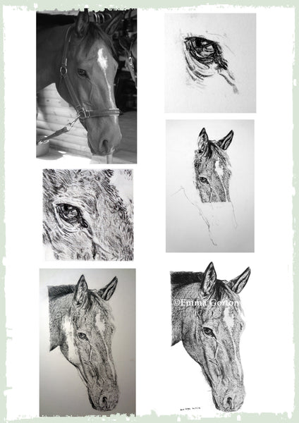charcoal-portrait-danny-horse
