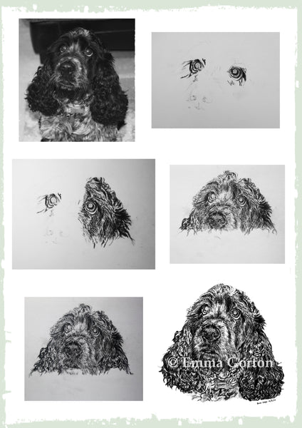 charcoal-portrait-cally-cocker-spaniel