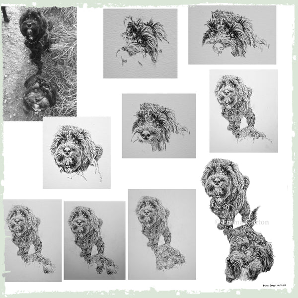 charcoal-portrait-cockerpoo-hadley-and-hudson