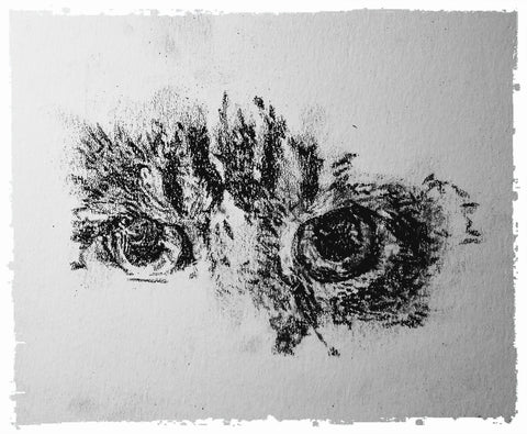 charcoal-portrait-mickey-cat-4