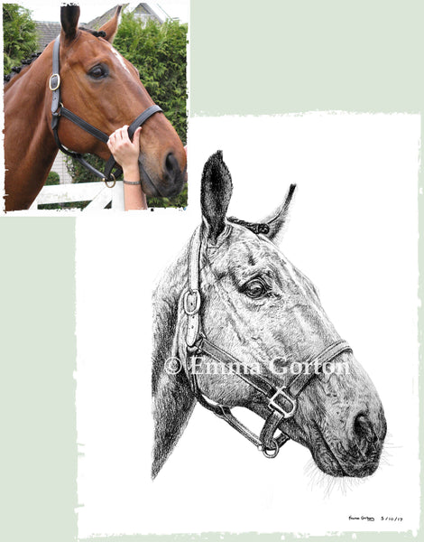 charcoal-portrait-pete-horse-1