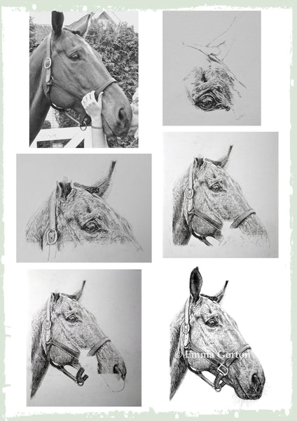 charcoal-portrait-pete-horse