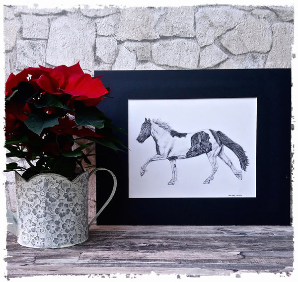 charcoal-portrait-piebald-horse-bebe-8