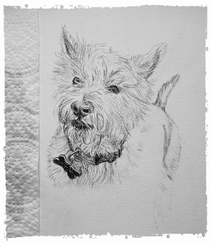 charcoal-portrait-pug-westie-3