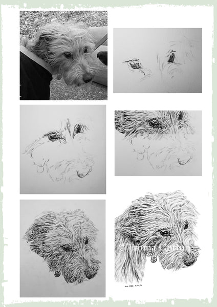 charcoal-portrait-ruby-terrier