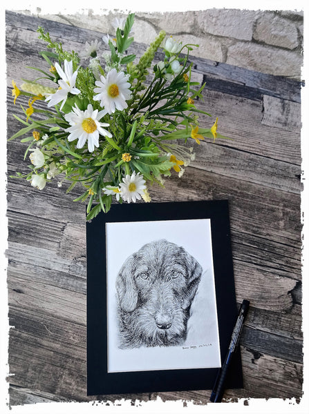 charcoal-portrait-wire-haird-dachschund-2