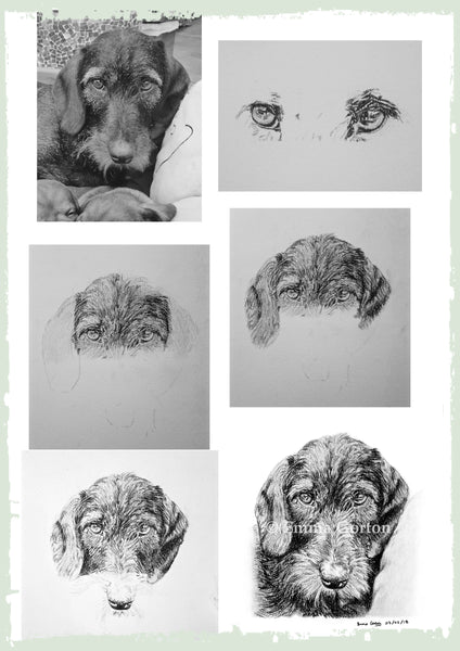 charcoal-portrait-wire-haird-dachschund