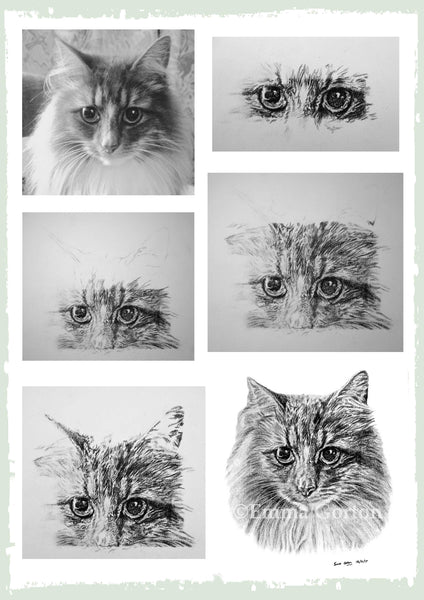 personalised-cat-drawing-ben3.jpg