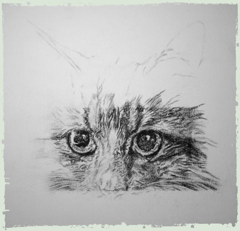 personalised-cat-drawings-ben2