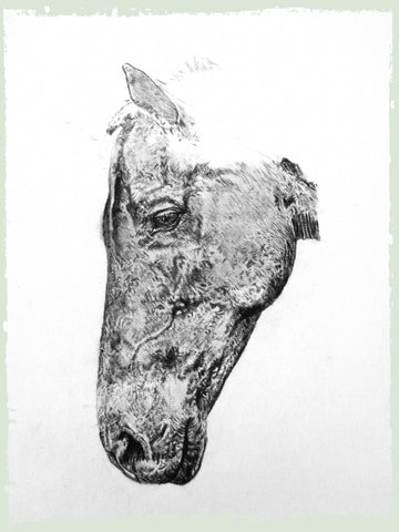 charcoal-portrait-siege-horse-5