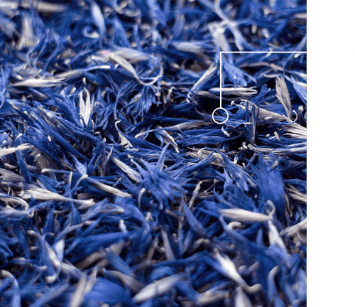 Blue Cornflowers Ingredient.png__PID:ce11a263-e01b-4d69-bc53-d4f9ba5f7f58