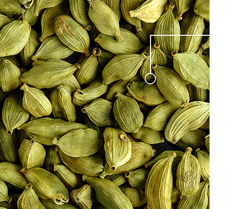 Cardamom Ingredients.png__PID:9d97d8f4-3a4f-434a-a823-13e687767967