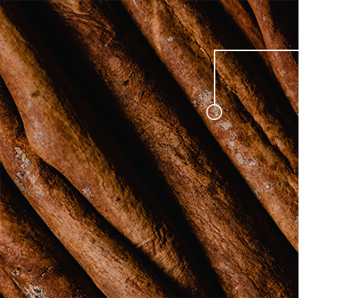 Cinnamon Stick Ingredient.png__PID:0077ad57-51b2-4dad-b0d1-70e7ed728e8b