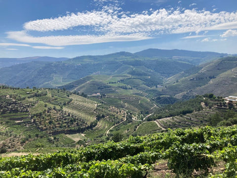 Douro wine region in Portugal
