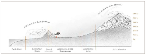 Sena 2021 blog from MWH Wines