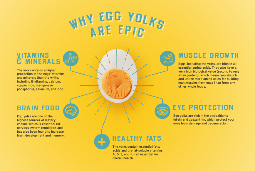 Infographic explaining the benefits of eating egg yolks