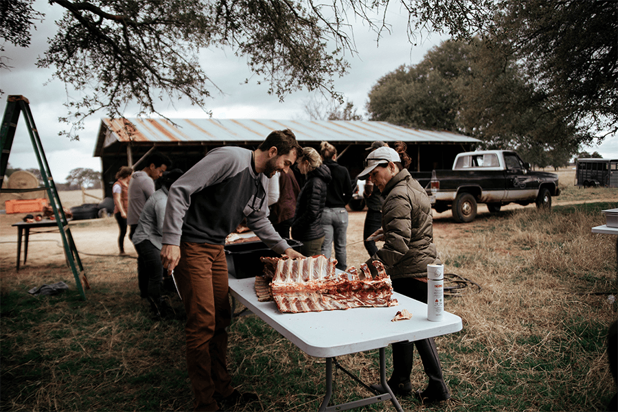 People breaking down bison meat at an outdoor table 