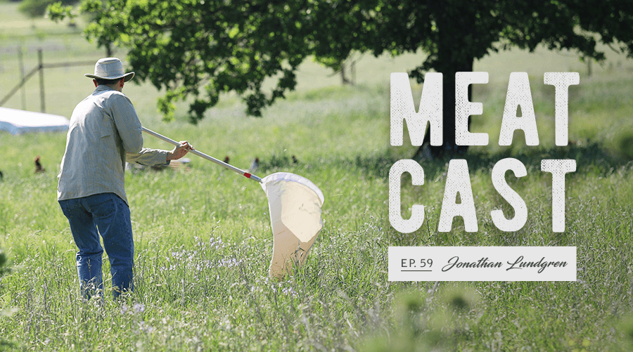 Man in field catching insects