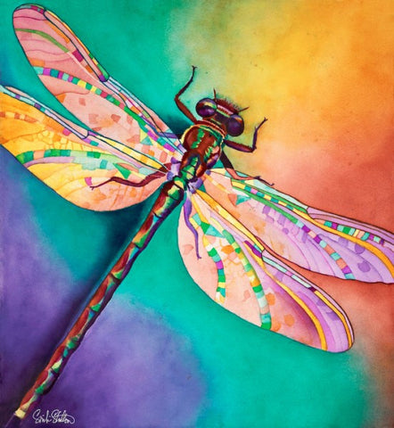 Insect Paintings – Sinclair Stratton Artist