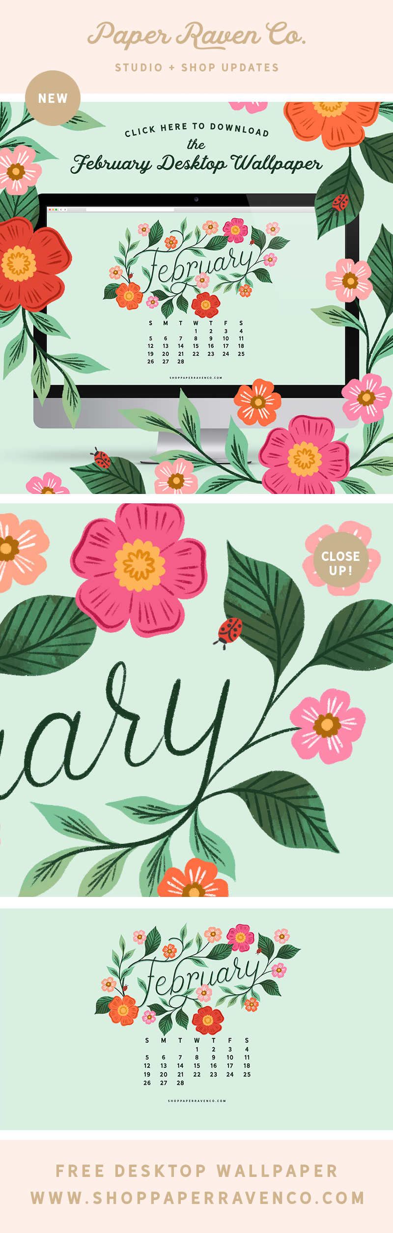 NEW! Wildflower Fields Wrapping Paper – Paper Raven Co.