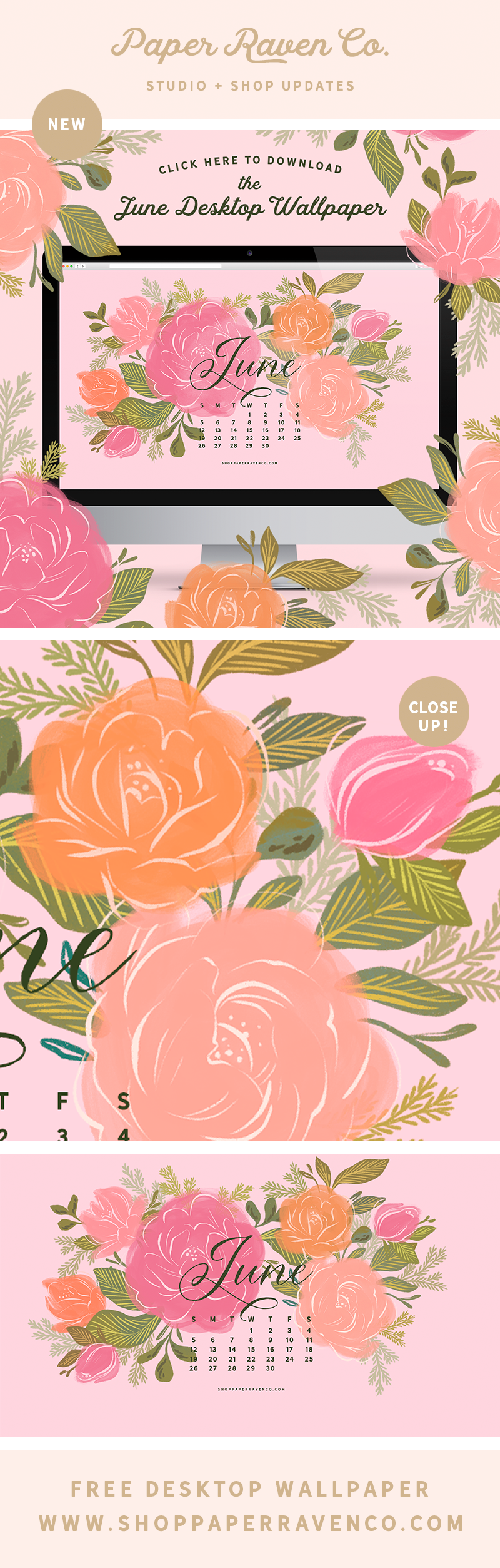 June 2022 Illustrated Desktop Wallpaper by Paper Raven Co. #desktopwallpaper #dressyourtech