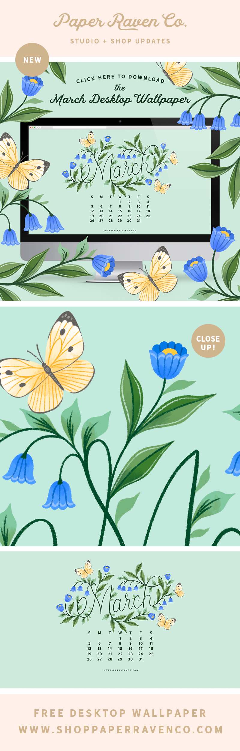 NEW! Wildflower Fields Wrapping Paper – Paper Raven Co.